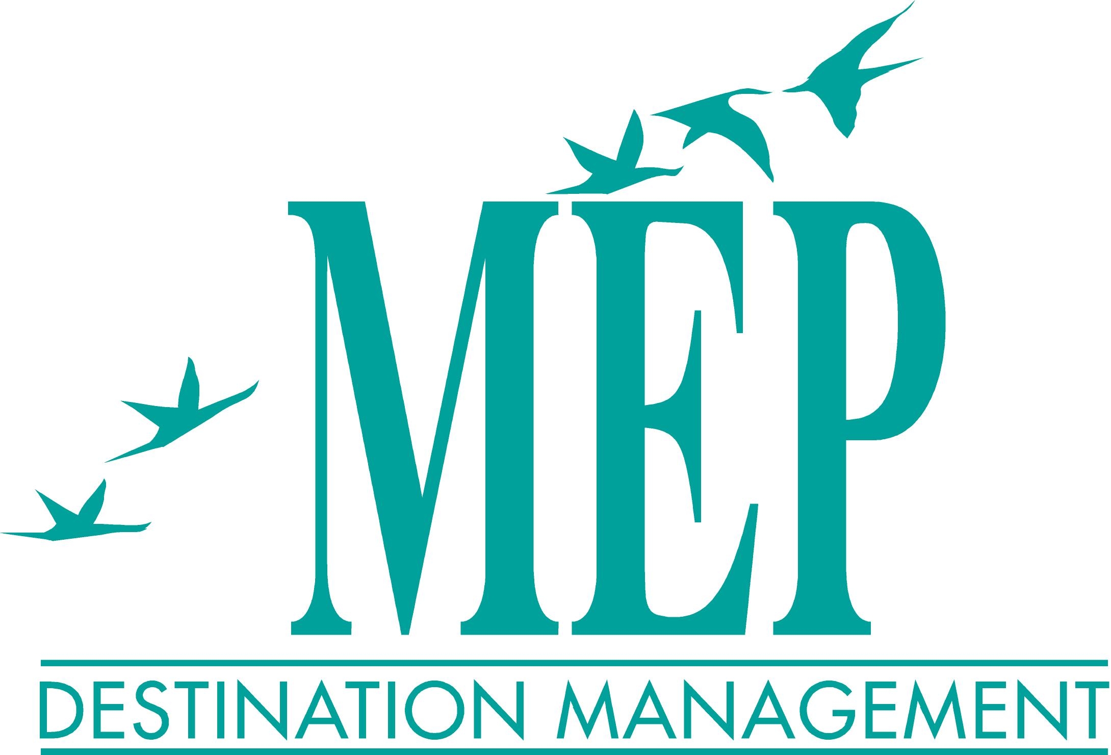 MEP_DMC Logo