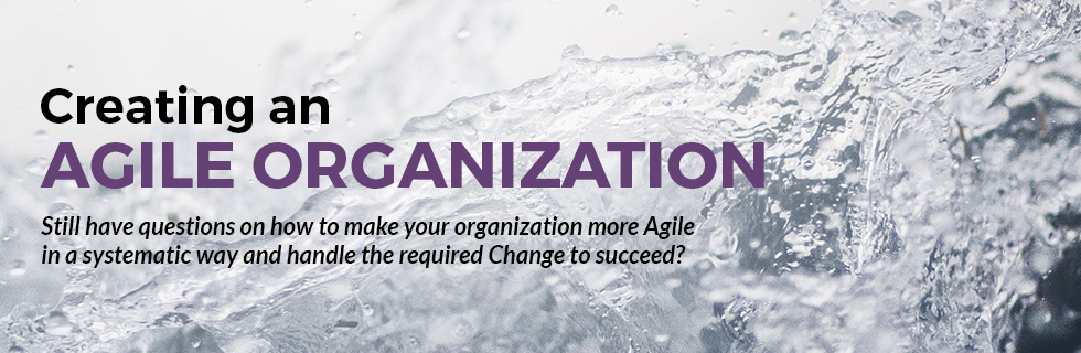 Creating an Agile Organization