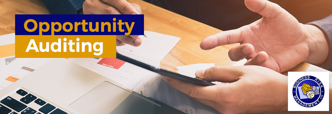 opportunity-auditing-header-banner